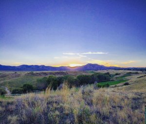 12038996_2597549349287_1391242445853494366_o