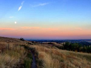 12087298_2597549709296_8792202193957402647_o