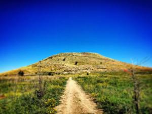 12091321_2597548749272_3284367530192263291_o