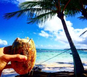 1040502_2652241956568_7404737465539417710_o