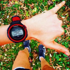 12363042_2639145749171_2612265706331555053_o